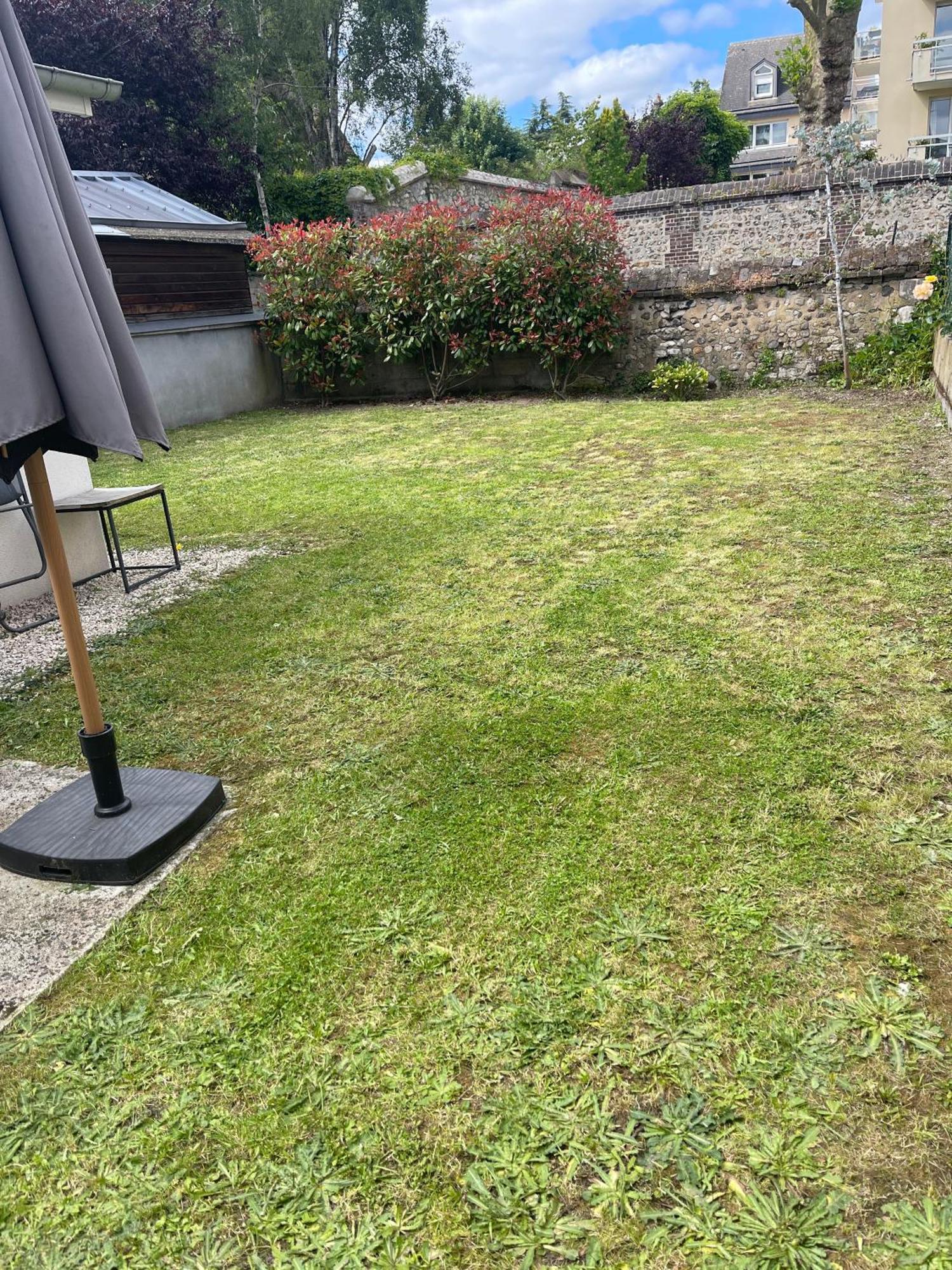 Le Nid Douillet : Superbe Appartement + Jardin Privatif Rouen Bagian luar foto